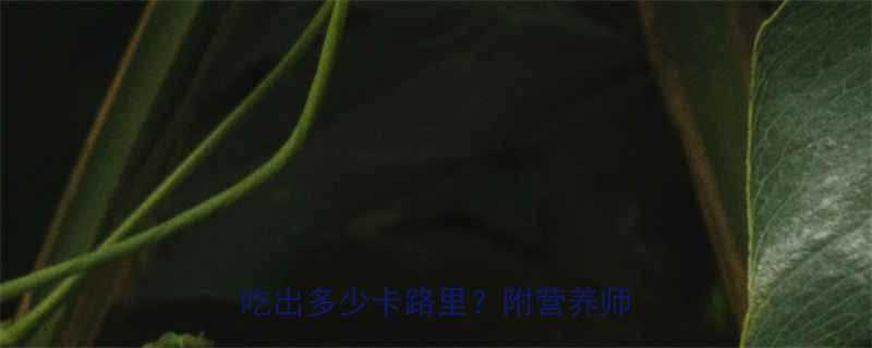 花生米煮稀饭的热量真相一碗饭能吃出多少卡路里附营养师推荐吃法-第1张图片-ZBLOG