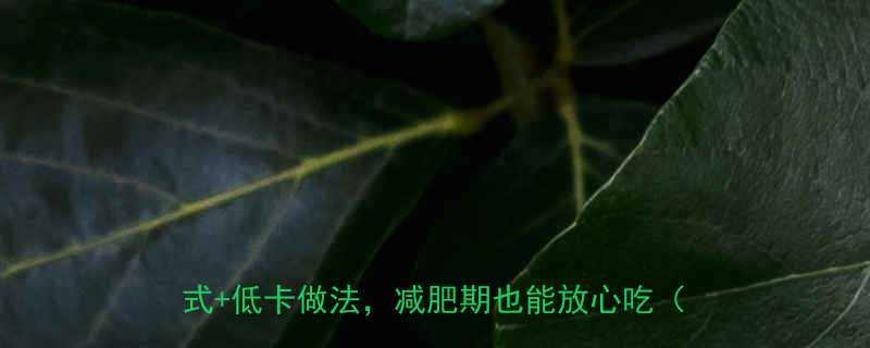 芸豆猪肉饺子热量低吗营养师热量计算公式低卡做法减肥期也能放心吃最新版-第1张图片-ZBLOG