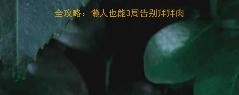 蝴蝶袖克星居家瘦手臂全攻略懒人也能3周告别拜拜肉附动作图解饮食方案-第2张图片-ZBLOG