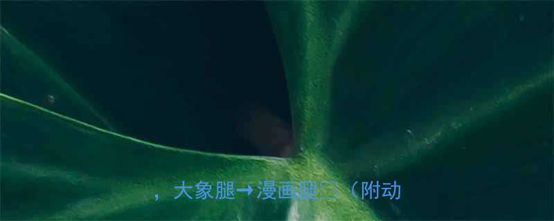 超有效瘦腿运动攻略每天15分钟大象腿漫画腿附动作图解-第1张图片-ZBLOG