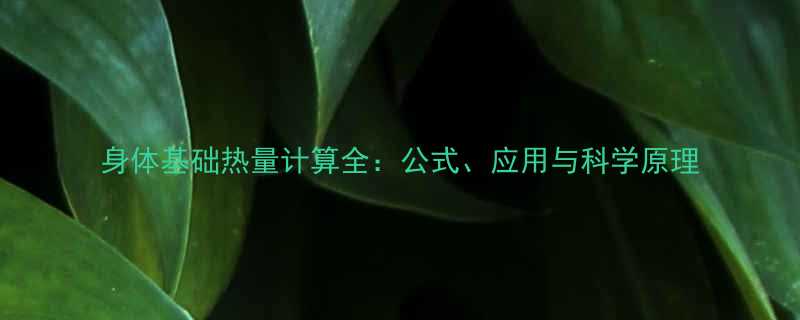 身体基础热量计算全：公式、应用与科学原理-第1张图片-ZBLOG
