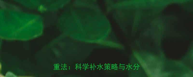 +节食双管齐下，7天高效减重法：科学补水策略与水分流失全-第1张图片-ZBLOG