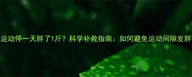 运动停一天胖了1斤科学补救指南如何避免运动间隙发胖-第2张图片-ZBLOG