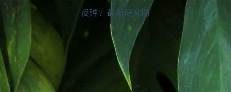 运动减肥后反弹最新研究防反弹核心策略-第3张图片-ZBLOG