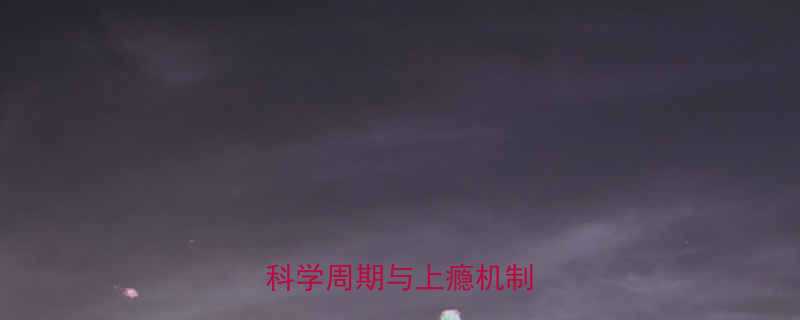 运动减肥多久见效并上瘾科学周期与上瘾机制全指南-第1张图片-ZBLOG