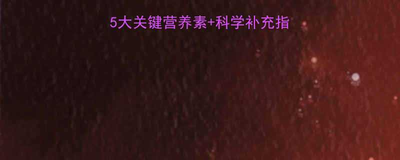 运动减肥必吃清单5大关键营养素科学补充指南增肌减脂效率翻倍-第1张图片-ZBLOG