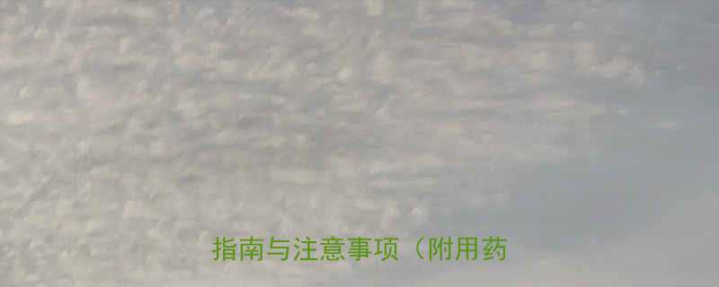 运动减肥辅助药物科学权威指南与注意事项附用药清单-第2张图片-ZBLOG