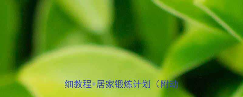 7个有效方法：详细教程+居家锻炼计划（附动作图解）-第1张图片-ZBLOG