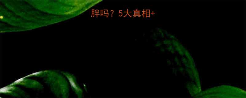 5大真相+科学饮水量指南-第3张图片-ZBLOG