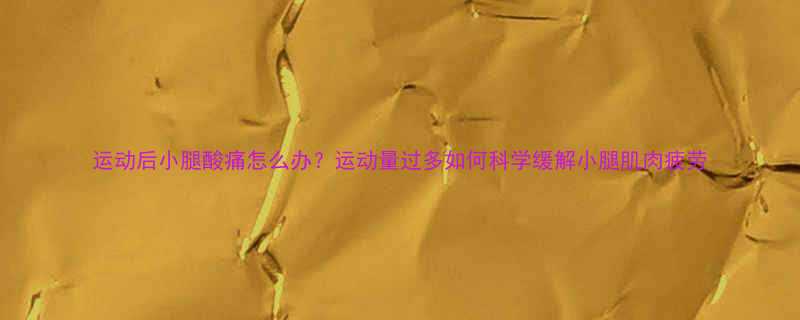 运动后小腿酸痛怎么办运动量过多如何科学缓解小腿肌肉疲劳-第1张图片-ZBLOG