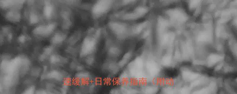 运动后膝盖疼怎么办5个科学方法快速缓解日常保养指南附动作图解-第1张图片-ZBLOG