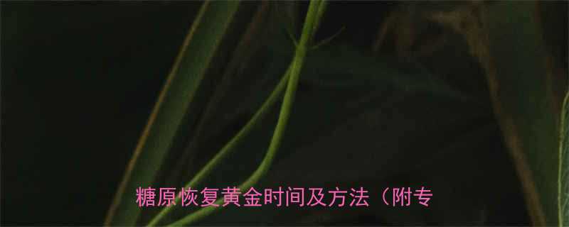 运动后补糖原的最佳时机是多久科学糖原恢复黄金时间及方法附专业指南-第1张图片-ZBLOG