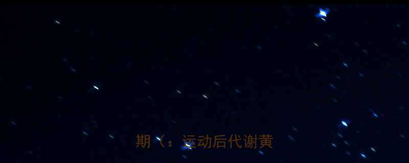 运动后身体代谢的黄金窗口期运动后代谢黄金期-第1张图片-ZBLOG