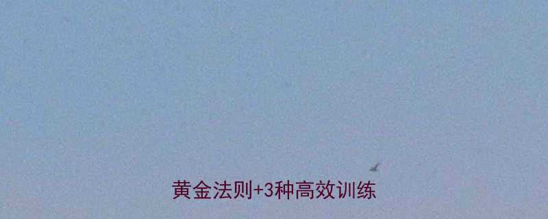 运动如何科学管理体重5大黄金法则3种高效训练方案全-第1张图片-ZBLOG