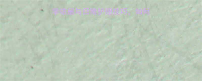 运动改善皮肤松弛的科学依据与日常护理技巧，如何通过运动焕发年轻肌肤？-第3张图片-ZBLOG