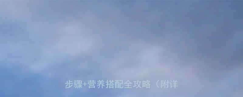 酸菜饼热量低卡版这样做！5个关键步骤+营养搭配全攻略（附详细做法）-第1张图片-ZBLOG