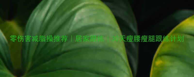 零伤害减脂操推荐居家跟练30天瘦腰瘦腿跟练计划-第2张图片-ZBLOG