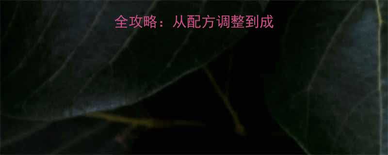 面包店热量计算全攻略从配方调整到成本核算的完整指南-第1张图片-ZBLOG