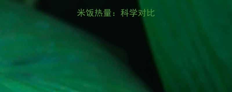 面食热量vs米饭热量科学对比哪种更健康-第1张图片-ZBLOG