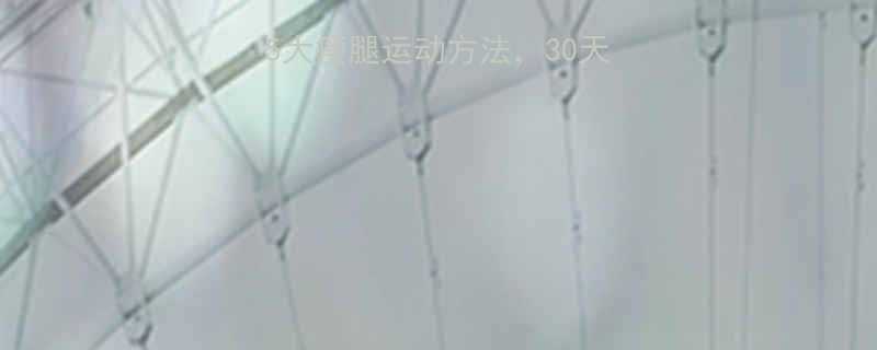 韩国女星亲测有效的5大瘦腿运动方法30天挑战计划及效果对比-第3张图片-ZBLOG