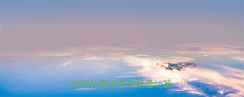 食物热量到底能吸收多少人体消化吸收率与热量计算全攻略-第1张图片-ZBLOG