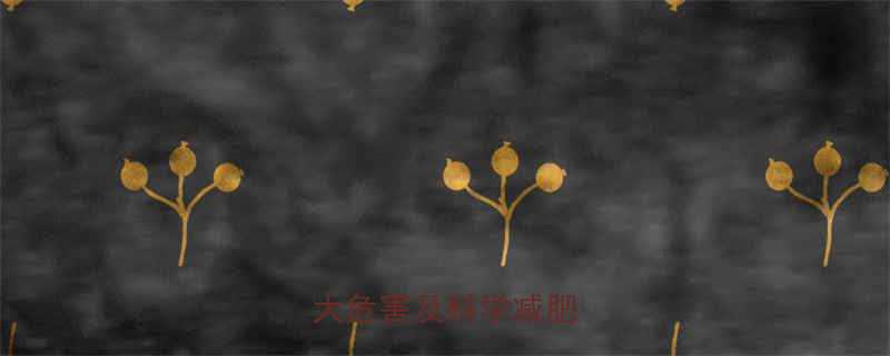 高中生服用减肥药五大危害及科学减肥指南-第1张图片-ZBLOG