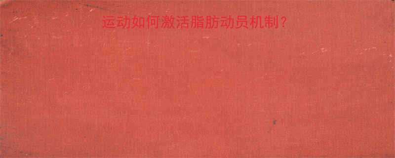 高效减脂必看有氧运动如何激活脂肪动员机制科学训练指南大公开-第2张图片-ZBLOG