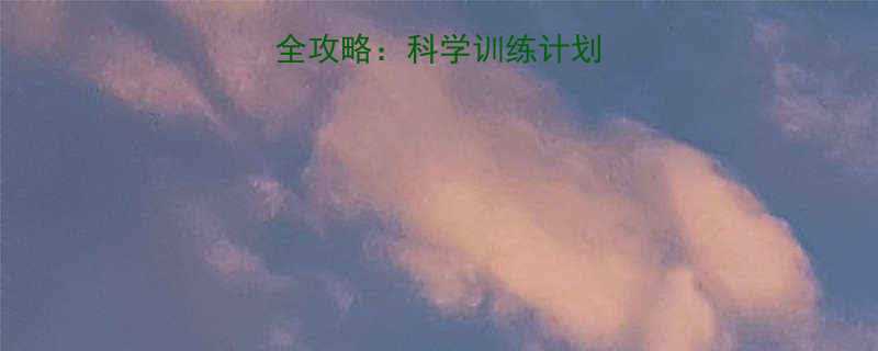 高效无氧运动减脂全攻略科学训练计划增肌提升基础代谢-第1张图片-ZBLOG