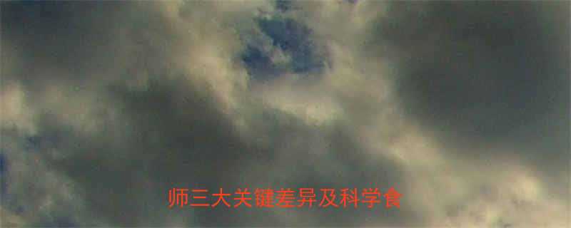 高粱米热量比大米高多少营养师三大关键差异及科学食用指南-第1张图片-ZBLOG