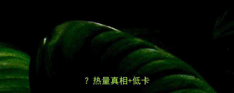 高蛋白食物真的热量高吗热量真相低卡食谱-第1张图片-ZBLOG