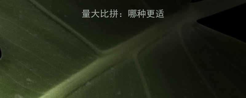 鸡翅vs鸭翅热量大比拼哪种更适合你的健身饮食-第3张图片-ZBLOG