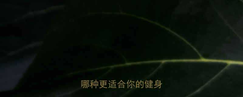 鸡翅vs鸭翅热量大比拼哪种更适合你的健身饮食-第1张图片-ZBLOG