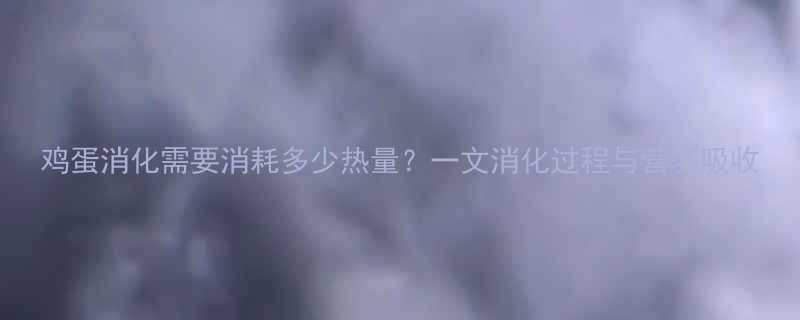 鸡蛋消化需要消耗多少热量？一文消化过程与营养吸收-第1张图片-ZBLOG