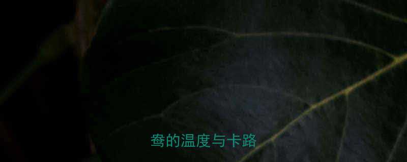 鸳鸯热量大一份鸳鸯的温度与卡路里全-第1张图片-ZBLOG