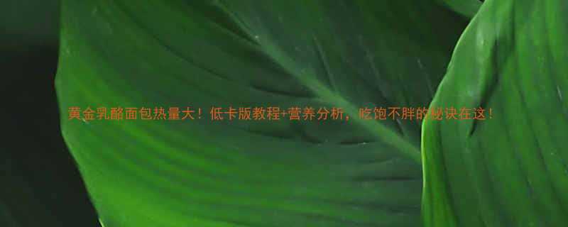 +营养分析，吃饱不胖的秘诀在这！-第1张图片-ZBLOG