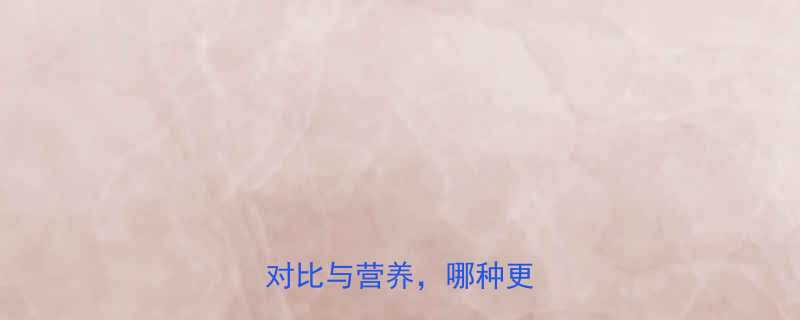 黑米馒头vs米饭热量对比与营养哪种更健康-第1张图片-ZBLOG