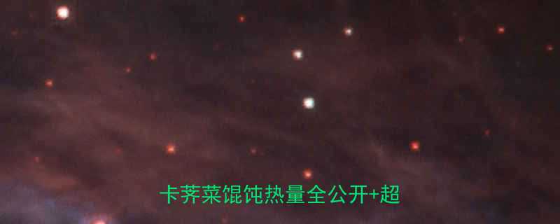 10个荠菜小馄饨1顿饭低卡荠菜馄饨热量全公开超全教程-第1张图片-ZBLOG