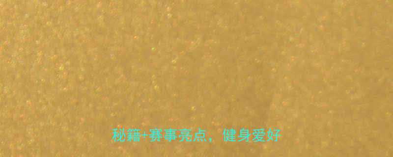 健身健美公开赛全回顾冠军选手秘籍赛事亮点健身爱好者必看-第3张图片-ZBLOG