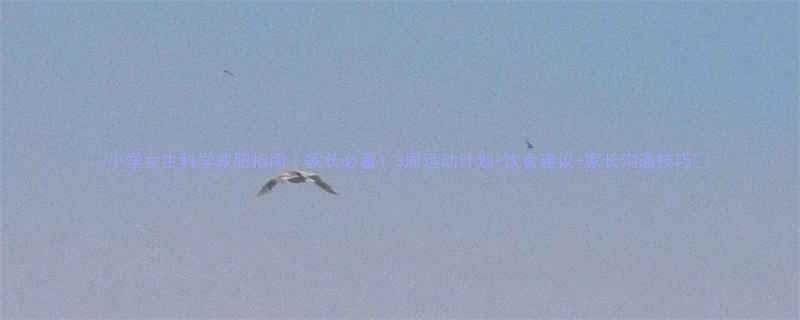 3周运动计划+饮食建议+家长沟通技巧🌟-第1张图片-ZBLOG