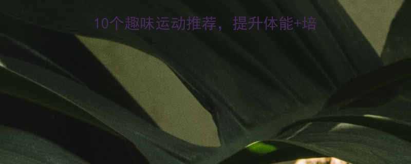 10个趣味运动推荐，提升体能+培养习惯（附家长必看攻略）-第2张图片-ZBLOG