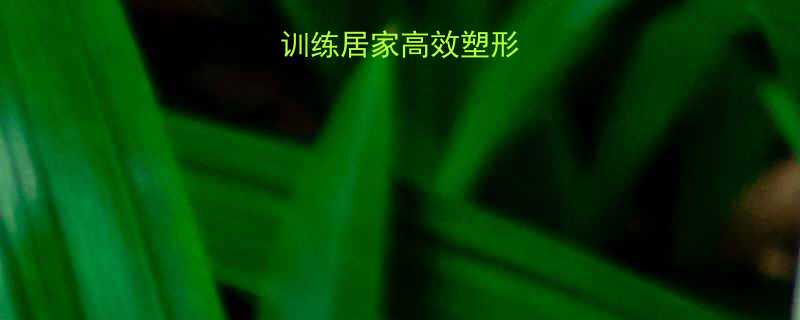 弹力绳阻力训练居家高效塑形省时懒人必备-第1张图片-ZBLOG