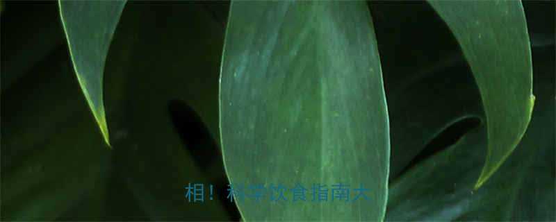 晚上健身后不吃饭的真相科学饮食指南大公开-第1张图片-ZBLOG