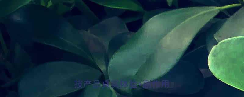 最全减肥药测评3款黑科技产品真实体验副作用对比-第2张图片-ZBLOG