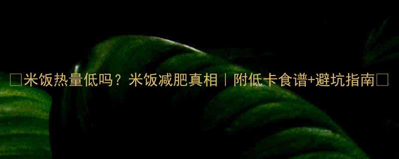 🌟米饭热量低吗？米饭减肥真相｜附低卡食谱+避坑指南🍚-第3张图片-ZBLOG