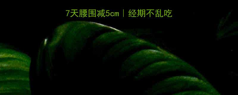 经期后三天黄金期7天腰围减5cm经期不乱吃也能瘦的秘诀大公开-第2张图片-ZBLOG