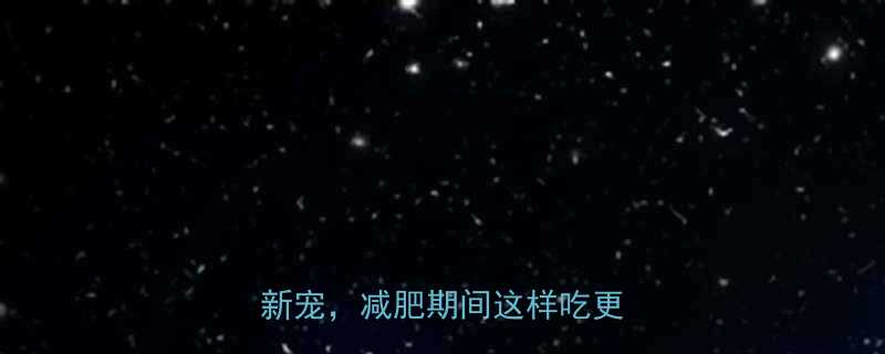 -第1张图片-ZBLOG