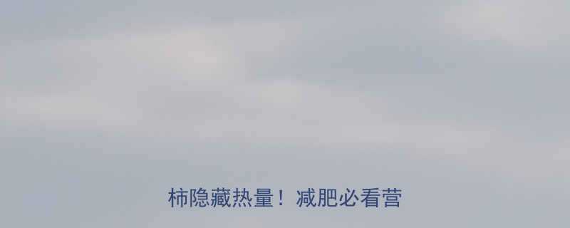 1颗西红柿1碗饭西红柿隐藏热量减肥必看营养表-第3张图片-ZBLOG