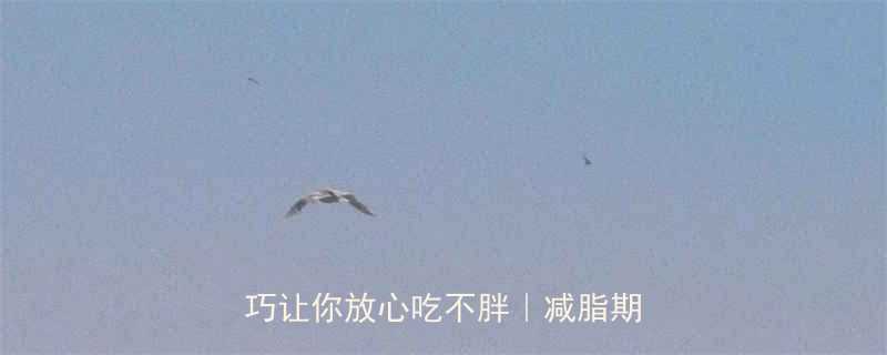 吃白米饭能减脂吗3个关键技巧让你放心吃不胖减脂期必看-第1张图片-ZBLOG