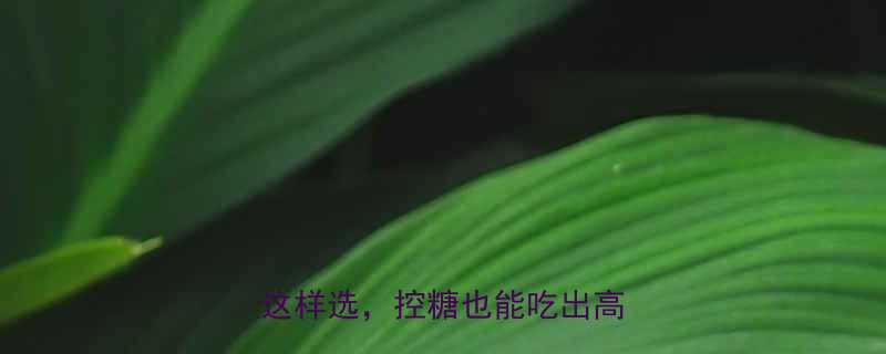 黑巧热量高真相低卡黑巧这样选控糖也能吃出高级感-第1张图片-ZBLOG