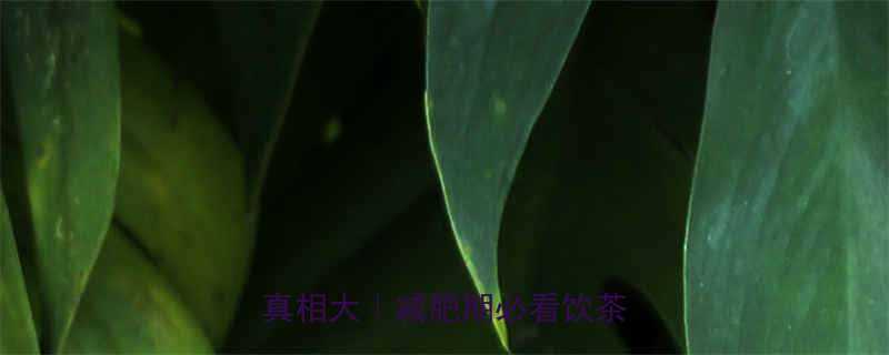 一杯绿茶热量高吗低卡健康真相大减肥期必看饮茶指南-第1张图片-ZBLOG